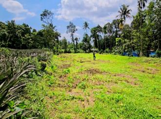 Residential Land for Sale in Ernakulam, Muvattupuzha, Mannoor