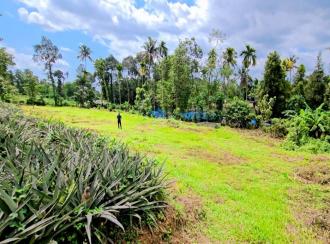 Residential Land for Sale in Ernakulam, Muvattupuzha, Mannoor