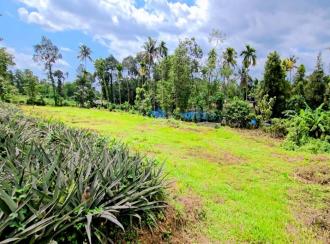 Residential Land for Sale in Ernakulam, Muvattupuzha, Mannoor