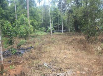 Residential Land for Sale in Thrissur, Chalakudy, Kanakamala