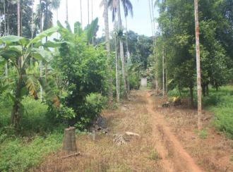 Residential Land for Sale in Thrissur, Chalakudy, Kanakamala