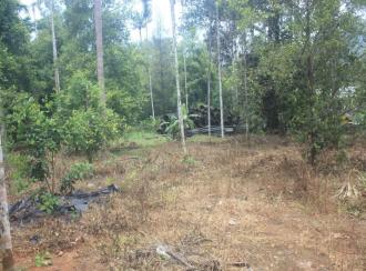 Residential Land for Sale in Thrissur, Chalakudy, Kanakamala