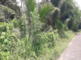 Residential Land for SaleThrissur, Amballoor, Paaliyekkara