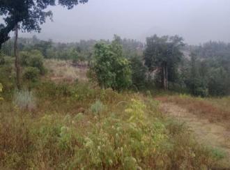 വാണിജ്യ ഭൂമി പാട്ടത്തിന് Idukki, Munnar, Kanthaloor