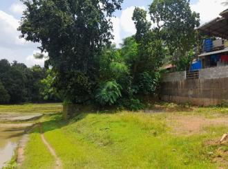 Residential Land for Sale in Palakkad, Ottappalam, Palappuram