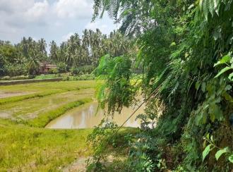 Residential Land for Sale in Palakkad, Ottappalam, Palappuram