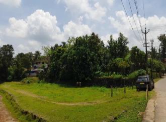 Residential Land for Sale in Palakkad, Ottappalam, Palappuram