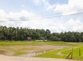 Residential Land for Sale in Palakkad, Ottappalam, Palappuram