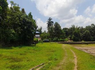 Residential Land for SalePalakkad, Ottappalam, Palappuram
