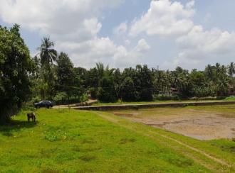Residential Land for Sale in Palakkad, Ottappalam, Palappuram