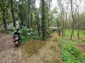 Residential House Villa for Sale in Kottayam, Ettumanoor, Pattithanam