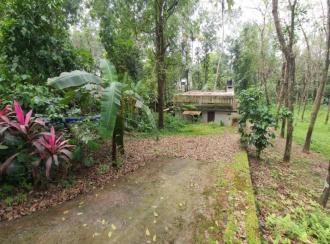 Residential House Villa for Sale in Kottayam, Ettumanoor, Pattithanam