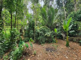 Residential House Villa for Sale in Kottayam, Ettumanoor, Pattithanam