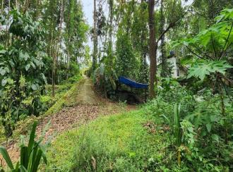 Residential House Villa for Sale in Kottayam, Ettumanoor, Pattithanam