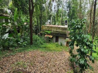 Residential House Villa for Sale in Kottayam, Ettumanoor, Pattithanam