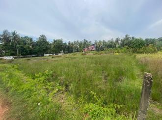 Residential Land for Sale in Ernakulam, Maradu, Maradu
