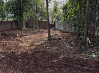 Residential Land for SalePalakkad, Palakkad, Mankara