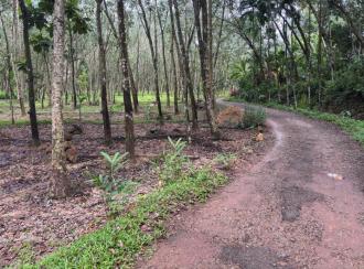 Residential Land for Sale