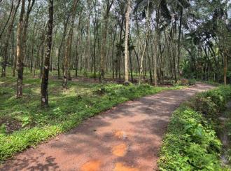 Residential Land for Sale in Trivandrum, Nedumangad, Nedumangad