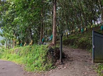 Agricultural Land for SaleMalappuram, Nilambur, Amarambalam