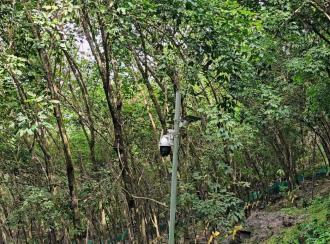 Agricultural Land for Sale in Malappuram, Nilambur, Amarambalam