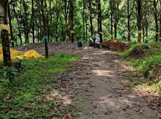 Agricultural Land for Sale in Malappuram, Nilambur, Amarambalam