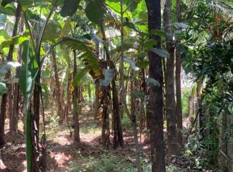 Residential Land for Sale in Palakkad, Alathur, Melarcode