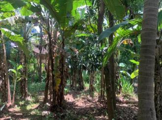 Residential Land for Sale in Palakkad, Alathur, Melarcode