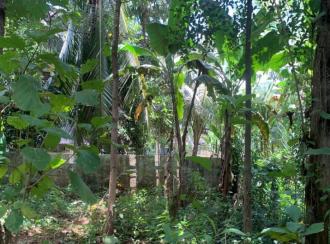 Residential Land for Sale in Palakkad, Alathur, Melarcode