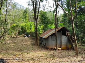 Residential Land for Sale in Palakkad, Alathur, Vandazhi