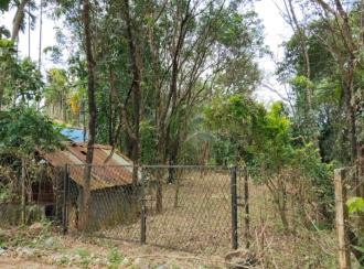 Residential Land for Sale in Palakkad, Alathur, Vandazhi