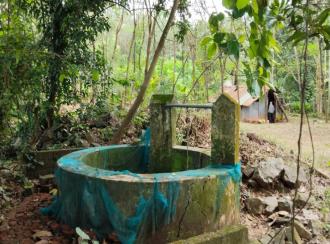 Residential Land for Sale in Palakkad, Alathur, Vandazhi