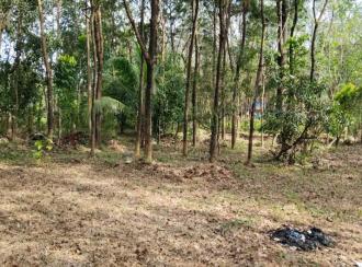Residential Land for Sale in Palakkad, Alathur, Vandazhi