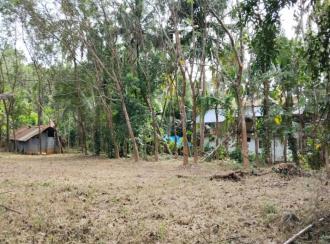 Residential Land for Sale in Palakkad, Alathur, Vandazhi