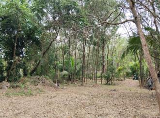 Residential Land for Sale in Palakkad, Alathur, Vandazhi