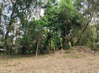 Residential Land for Sale in Palakkad, Alathur, Vandazhi
