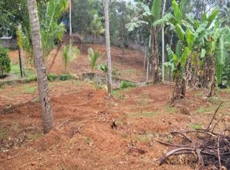 Residential Land for SaleTrivandrum, Thiruvananthapuram, Chellamangalam