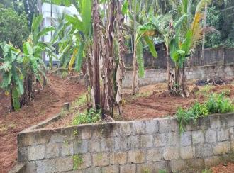 Residential Land for Sale in Trivandrum, Thiruvananthapuram, Chellamangalam