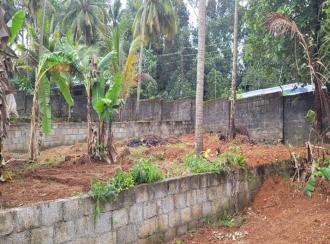 Residential Land for Sale in Trivandrum, Thiruvananthapuram, Chellamangalam