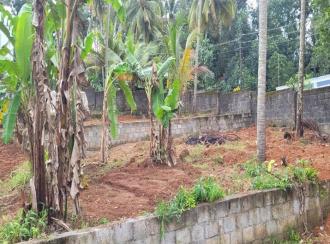 Residential Land for Sale in Trivandrum, Thiruvananthapuram, Chellamangalam