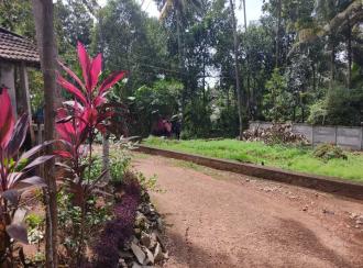 Commercial Land for Sale in Kollam, Kollam, Kundara