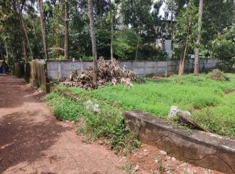 Commercial Land for Sale in Kollam, Kollam, Kundara