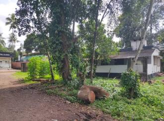 Industrial Building for Sale in Kollam, Chakkuvally, Sooranad north