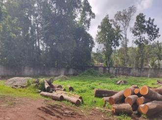 Industrial Building for Sale in Kollam, Chakkuvally, Sooranad north