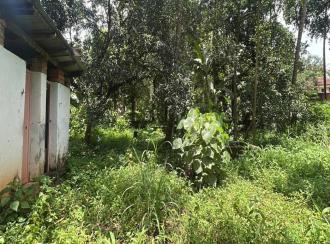 Residential Land for SaleThrissur, Thrissur, Ramavarmapuram