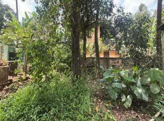 Residential Land for Sale in Thrissur, Thrissur, Ramavarmapuram