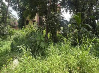 Residential Land for Sale in Thrissur, Thrissur, Ramavarmapuram