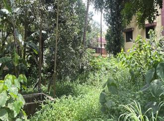 Residential Land for Sale in Thrissur, Thrissur, Ramavarmapuram