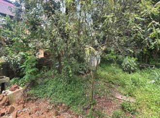 Residential Land for Sale in Thrissur, Thrissur, Ramavarmapuram