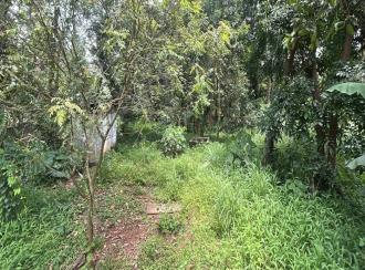 Residential Land for Sale in Thrissur, Thrissur, Ramavarmapuram